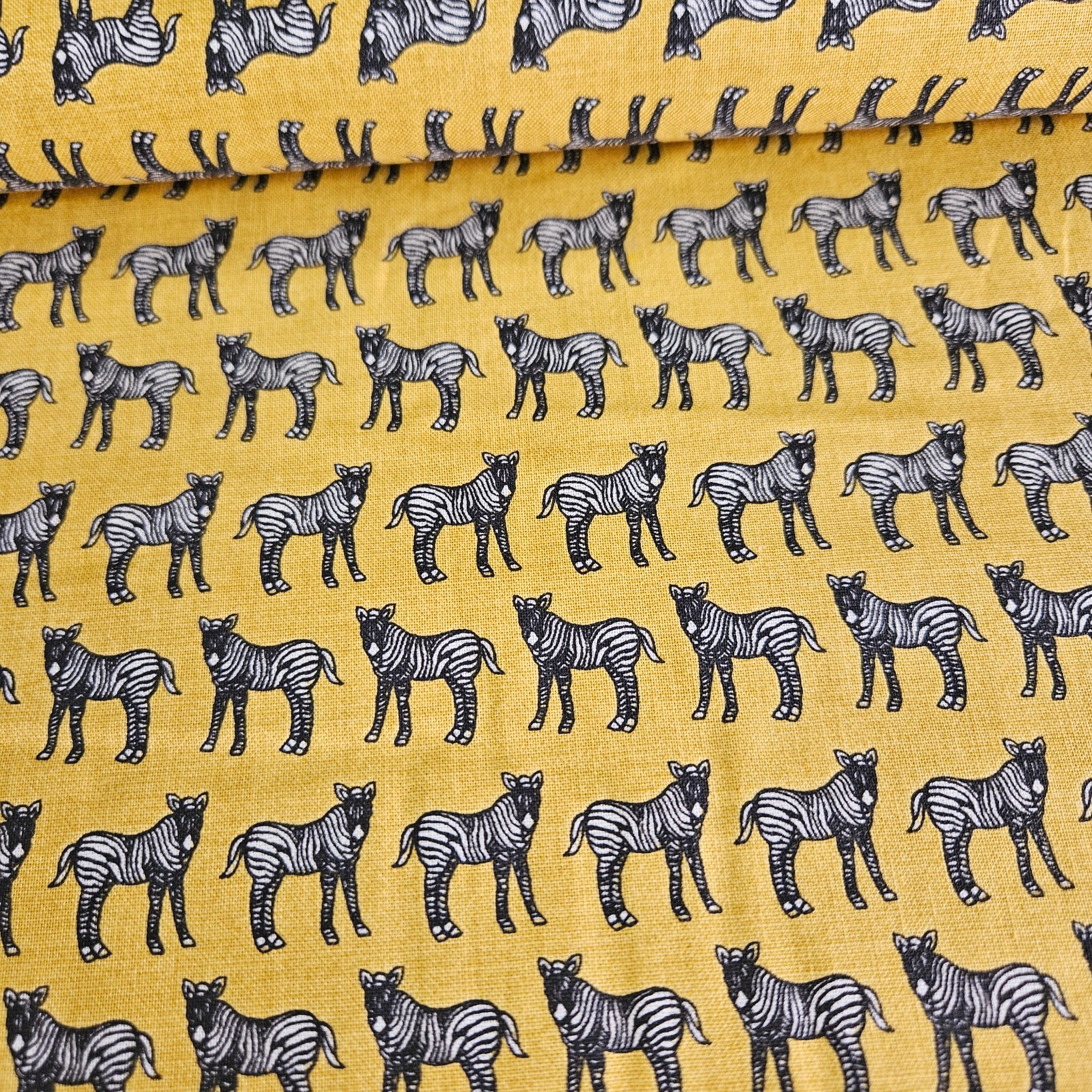 Fabri-Quilt - Jungle Party Zebra 100% Cotton Fabric