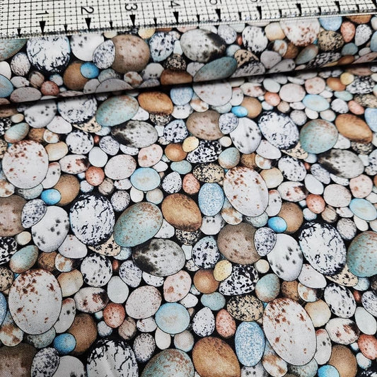 Elizabeths Studio - Bird Eggs by Laura Seeley 100% Cotton Fabric - Crafts and Quilts