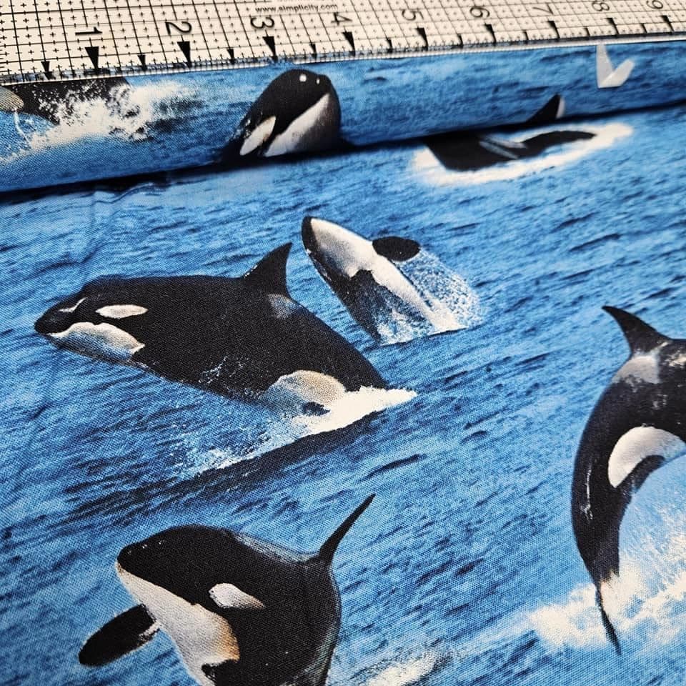 Elizabeths Studio - Killer Whales 100% Cotton Fabric - Crafts and Quilts