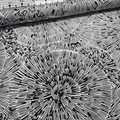 Hoffman - Bali Batiks Handpaints Burst Black & White 3361 100% Cotton Fabric - Crafts and Quilts