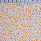 Hoffman - Bali Batiks Handpaints Citrus Spot 100% Cotton Fabric