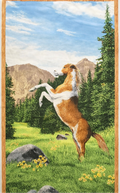 Wilmington - Roaming Wild Horse Quilt Fabric Panel